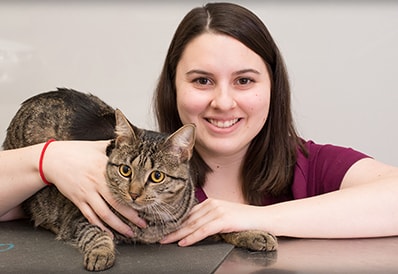 Adult cat veterinary care in Wayne NJ