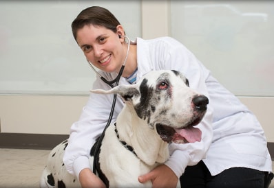 Our Animal Hospital has been serving Pompton Lakes area