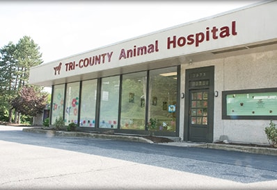 Tri-County Animal Hospital hospital tour