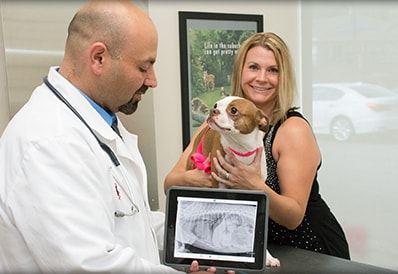 Digital X-Ray Technology at Tri-County Animal Hospital