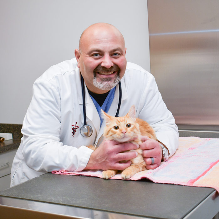 About our Wayne NJ veterinarians