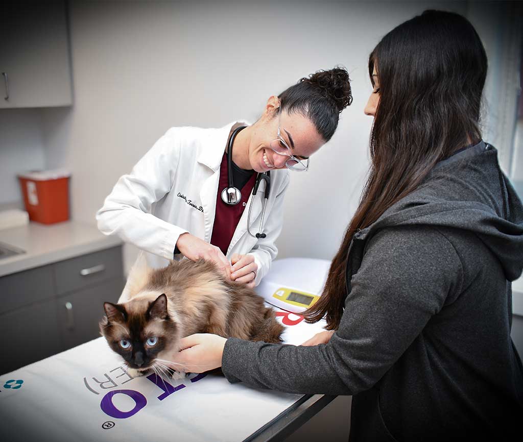 tri-county-animal-hospital