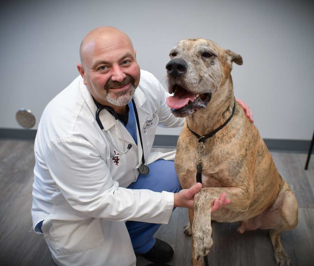 tri-county-animal-hospital2