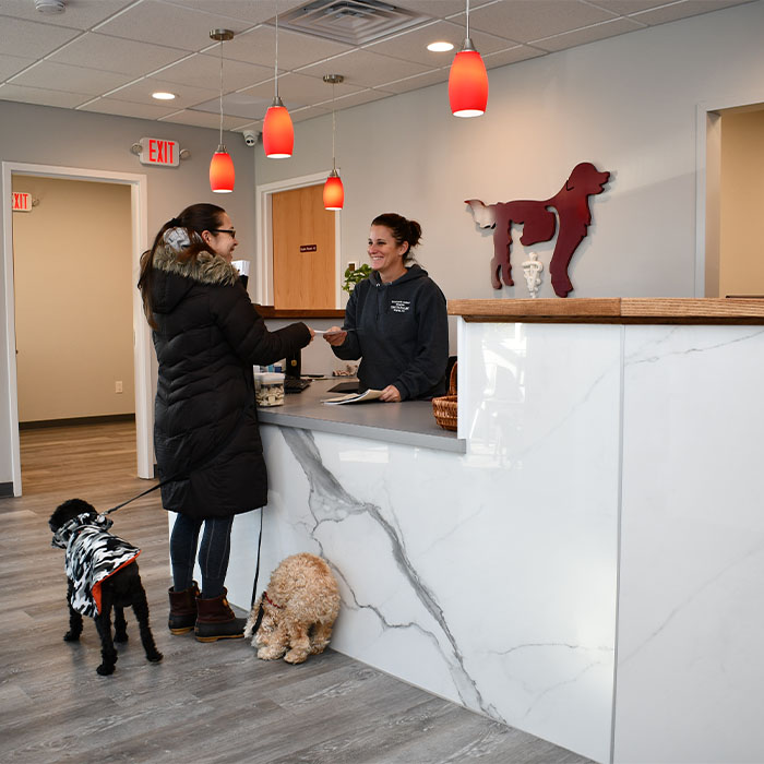 veterinarian-wayne-nj_0056_DSC_0066