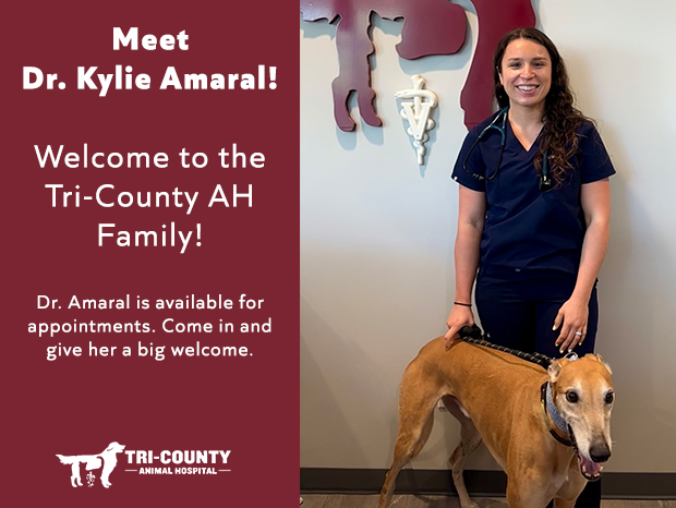 Meet Dr. Kylie Amaral