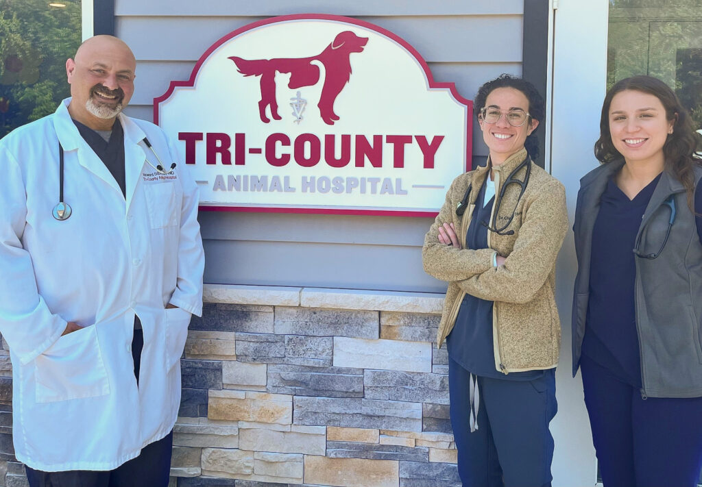 Veterinary Job Opportunities Wayne NJ
