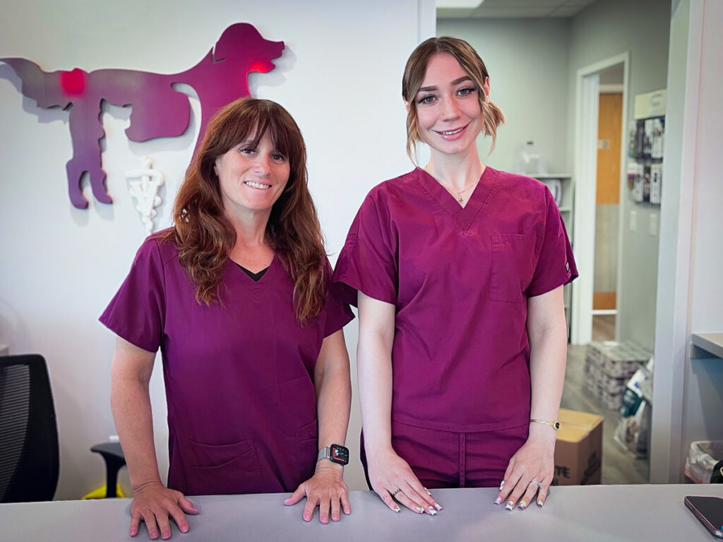contact-veterinarian-wayne-nj