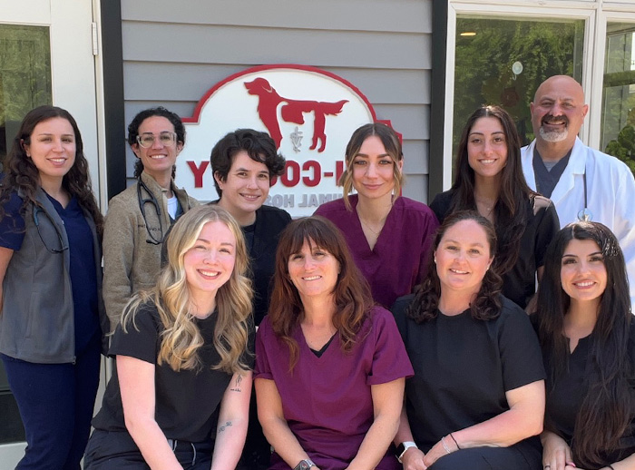 staff-veterianians-wayne-nj